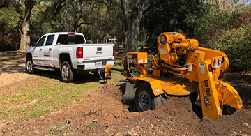 stump grinding baton rouge