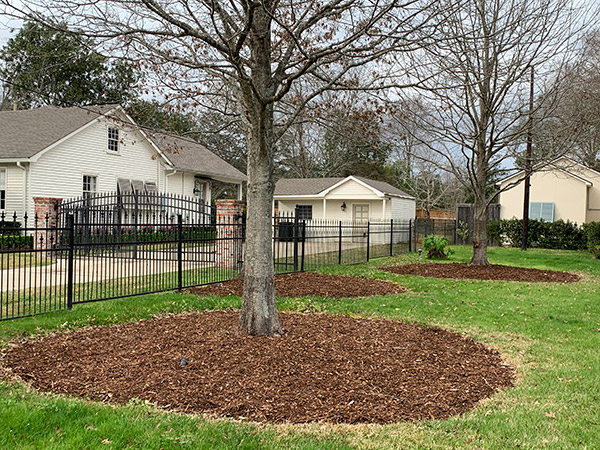 tree mulch baton rouge